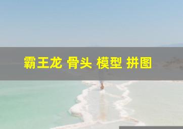 霸王龙 骨头 模型 拼图